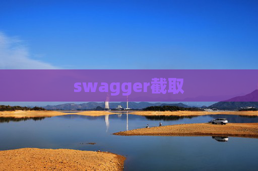 swagger截取